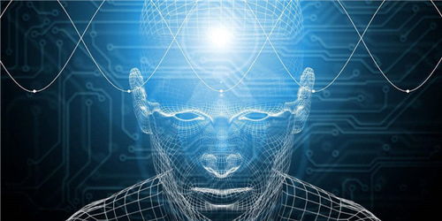 我懶我有理 人類大腦的“節能模式”與計算機編程的啟示